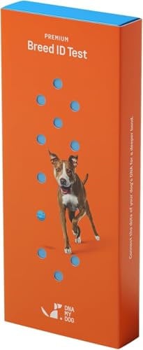 DNA My Dog Premium Rassenidentifizierungstest | 99% Genauigkeit | DNA-Analyse von über 360 Hunderassen | Genetischer Alterstest für Hunde | Schnellste Ausführung in weniger als 3 Wochen |