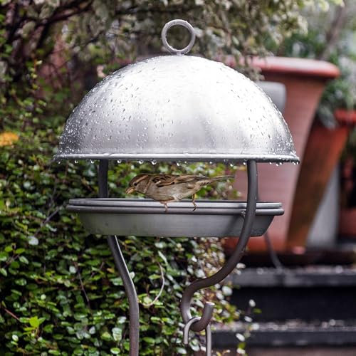 Crocus Collection 138cm Wild Bird Feeding Station Stake Pole Sheltered Garden Birdhouse Dome Brushed Aluminium