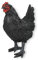 colourliving Gartendeko Huhn Figur Deko Hühner Deko Hennen Bauernhof Tiere Hühner Figuren (Schwarz)