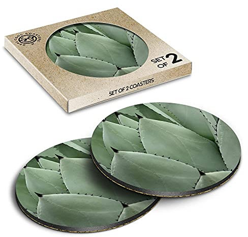 2 x Eco Boxed Cork Coasters - Green Cactus Succulent Plant Botanical Drink Cup Mug Glass Table Mat #45221