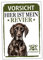 Deutsch Kurzhaar Schild Revier Jagd Türschild Hundeschild Warnschild Hund DK Vorstehhund Geschenkidee lustiger Spruch Hundemotiv Aluminium Wetterfestes Hundeschild