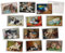 The Collab Lab Antike Katzen-Postkarten, 24 Vintage-Postkarten, 12 sortierte Kätzchen-Retro-Buch-Illustrationskarten, gedruckt auf strukturiertem Vintage-Karton