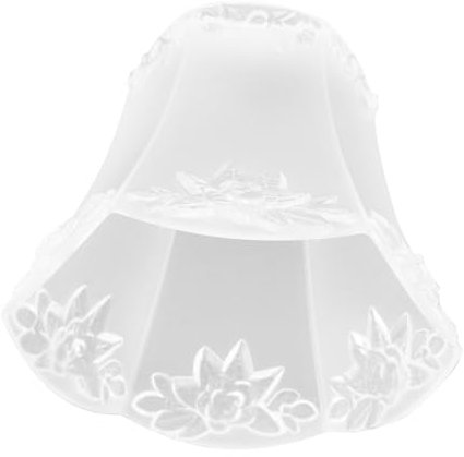 Gadpiparty 2st Lampenschirm Karte Weiden Bild Steht Steinohrringe Becherhalter Für Becher Plattenformen Ausstellungsstand Runder Drehteller Kabinett Plattenspieler Vorrichtungswechsel Acryl