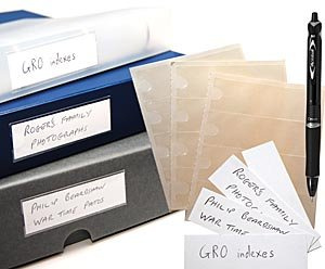 Enigma Adhesive Clear Spine Label Index Pockets for Binders & Boxes 102mm x 35mm (12 Pack)