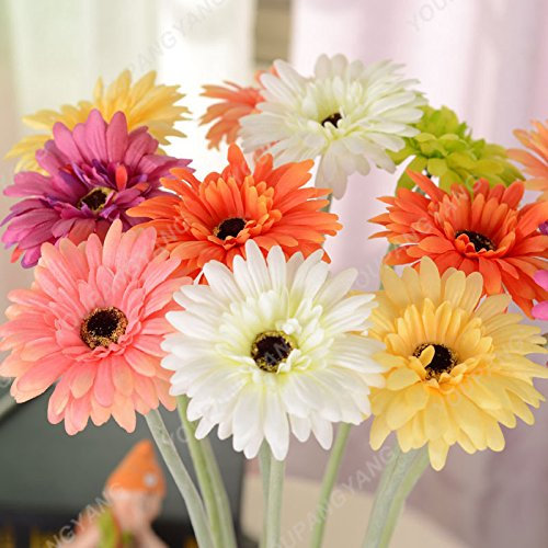 200pcs / pack Heiße Gerbera Samen Topf Chrysanthemum Blumen Samen In Bonsai DIY Hausgarten-Anlagen mit starken Fähigkeit 13 To Grow