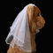 Haustier Hochzeit Schleier Katze Hund Braut Blume Kopfschmuck Hund Hochzeiten Partys Haarschmuck für kleine, mittelgroße und große Hunde (1: weiß)