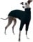 Whippet Mantel, Hundemantel Windhund Greyhound Sweater Hundeschlafanzug Hundepulli Hunde Pyjama(Dunkelgrün, S)
