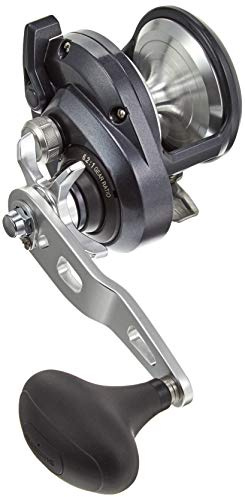 Shimano Torium 2000PG RH Multirolle