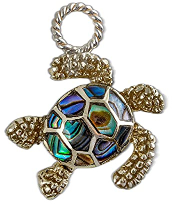 NOOSA-Amsterdam RELIC SEA TURTLE