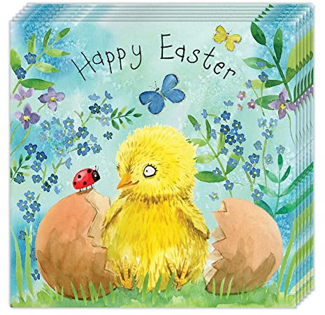 Twizler Osterkarten 6 Stück – Osterküken Design – niedliche Osterkarten Multipack – 6 Stück Osterkarten – Frohe Osterkarten