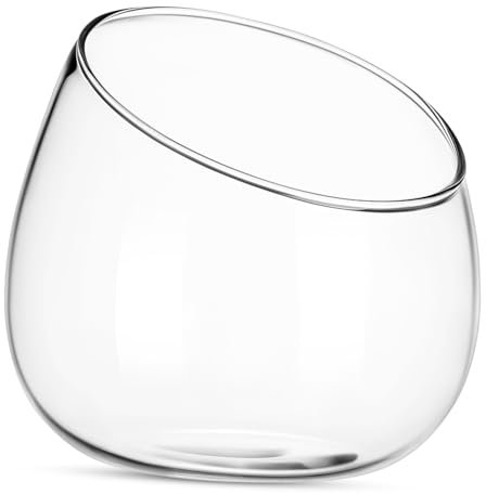 HANABASS Vaso De Transparente para Plantas Suculentas con Diseño Inclinado Jarrón Pequeño Decorativo para Centros De Mesa y Jardines Interiores Recipiente Duradero y Versátil para Musgo