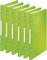 Leitz WOW Sichtbuch in A4 Format, Mit 40 Klarsichthüllen für 80 Blatt, WOW, (Green | 6er Pack)