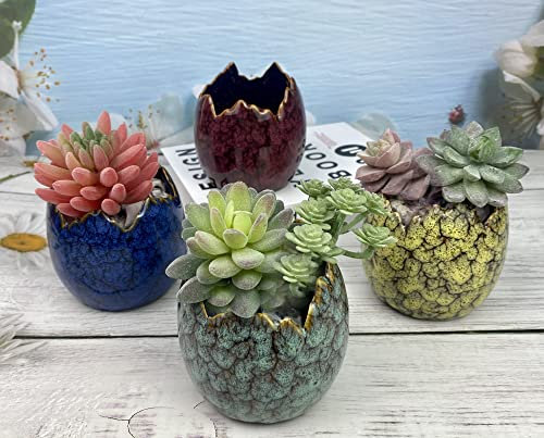 Pot de fleurs en forme d'œuf de dragon, pot de fleurs d'intérieur en céramique avec drainage, petits pots de fleurs pour cactus, petits pots de fleurs