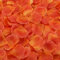 SamHeng 1000pcs pétales de Rose en Soie pétales de Fleurs en Tissu Artificiel pour fête de Mariage Saint Valentin Anniversaire décorations de Table romantiques émulation pétales de Rose(Jaune Orange)