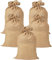 Jutesäcke 105 x 60 cm - 5er Set, Jutesack Universal, 50 kg Traglast - Ökologische Kartoffelsäcke aus 100% Jute - Strapazierfähig, Sackhüpfen, Kartoffelsack, Frostschutz, Nikolaussack, Gemüsesäcke