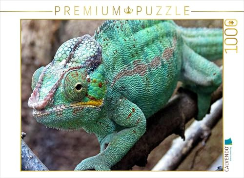 CALVENDO Puzzle Chamäleon | 1000 Teile Lege-Größe 64 x 48 cm Foto-Puzzle für glückliche Stunden