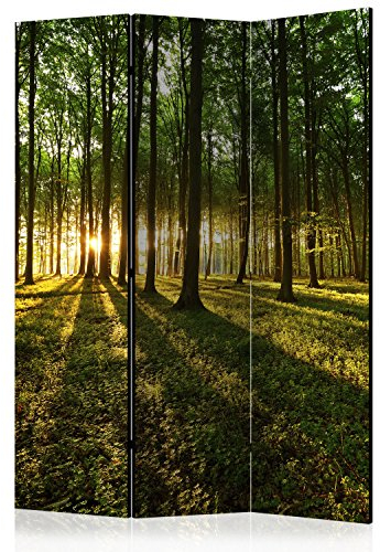 murando Raumteiler Wald Baum Natur Foto Paravent 135x172 cm beidseitig auf Vlies-Leinwand Bedruckt Trennwand Spanische Wand Sichtschutz Raumtrenner grün c-B-0027-z-b