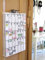 DIN A3 Wandkalender (18 Monate Laufzeit) z.B. Jun 2025 - Nov 2026
