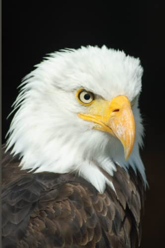 Eagle Notebook: Amazing Eagle Notebook Journal Eagle Themed Gift For Eagle Lovers 6x9 120 pages