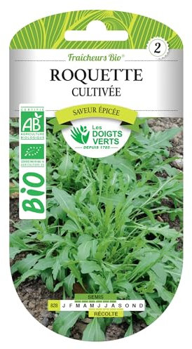 Graines de roquette cultivée BIO Les Doigts Verts