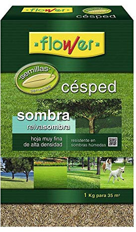 Semillas Césped Sombra FLOWER - 1 Kg