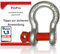 PinPro 4 x grilli ricci con bulloni per gli occhi | portata/WLL 0,33t-6,5t a scelta | in acciaio zincato a caldo ad alta resistenza (4 pezzi, WLL: 0,5)