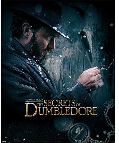 Pyramid Kunstdruck Fantastic Beasts The Secrets of Dumbledore Dumbledore Watch 40x50cm