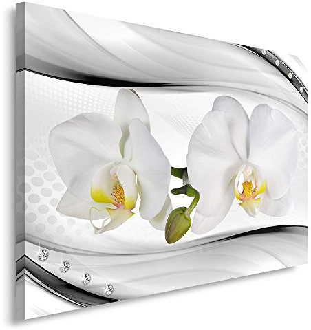 Feeby. ORCHIDEE Bild auf Leinwand Größe: 50x70 cm, 1 Teilig Leinwanbild Wandbild Kunstdrucke Wanddeko NATUR ABSTRAKTION GRAU WEIß