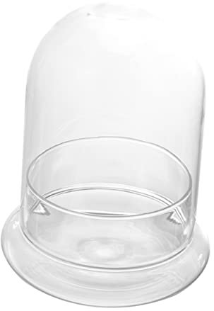 Toyvian Terrario De Plantas De Vidrio 12x16 Cm Sin Orificio, Botella Para Plantas Transparente, Decoración De Escritorio y Hogar, Micro Paisaje Diy, Accesorio Decorativo Único