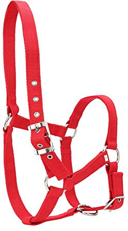 OKJHFD 6 Mm Dickes Rotes Verstellbares Zaumzeug, Metallösen, Mehrstufig Einstellbare Länge, Geeignet Für Reitzubehör, Das Das Zaumzeug Kontrolliert