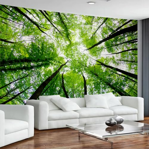 Arsey Wandteppich Wald Sky Wandbehang Natur Landschaft Wandteppiche Aesthetic Wandtücher Wanddecke Wandbespannung Wandtuch xxl Deko Wohnzimmer, Grün, Extra Großer 300x180cm