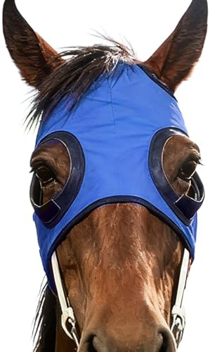 Cappa per cavalli da equitazione – 60 x 35 cm, maschera a rete resistente, traspirante e anti sabbia per cavalli in poliestere | Perfetto per allenamento in stalla, competizioni, eventi di gara
