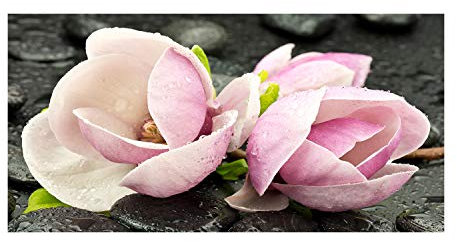 Tulup Impression sur Verre de 120x60 cm Image Tableau Photo décorative panoramique pour la Cuisine et Le Salon - Fleurs et Plantes - Magnolia Pierre Zen - Rose