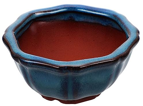 Yardenfun 1pieza Maceta De Cerámica De Barro para Suculentas y Plantas Diseño Único para Decoración De Mesa y Oficina Drenaje y Estabilidad La Base