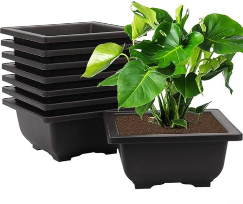 BlesConi Lot de 6 pots de fleurs décoratifs légers en plastique violet pour plantes grasses, bonsaï avec trous de drainage