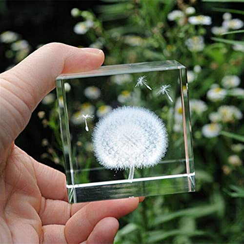 AxBALL Kristall-3D-gravierte Löwenzahn-Figur, Glaswürfel, Ornamente, Heim-Schreibtisch-Dekoration, Handwerk, Feng Shui, Briefbeschwerer, kreatives Geschenk (Farbe: transparent, Größe: 6 cm)