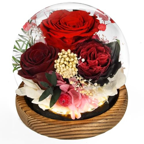 Beinhome Rosa Stabilizzata Vera Rose Eterne Fiori Fatto a Mano in Vetro con Luci LED Regali per Lei Donna Mamma Nonna Fidanzata, per San Valentino Festa della Mamma Compleanno Ringraziamento Natale