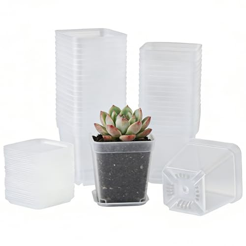 PUHTUOY 36Pcs Plastic Plant Pots - 7cm Indoor Square Thick Seed Seedling Pots with Trays Small Clear Nursery Flower Pots for Vegetables Cuttings Succulent Cacti for Garden Office and Balcony Decor