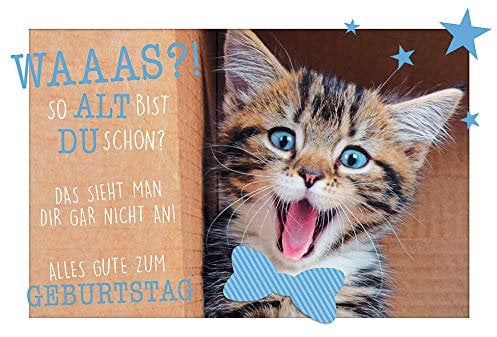 Geburtstagskarte Lifestyle Happy Birthday Katze 11,6 x 16,6 cm