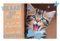 Geburtstagskarte Lifestyle Happy Birthday Katze 11,6 x 16,6 cm