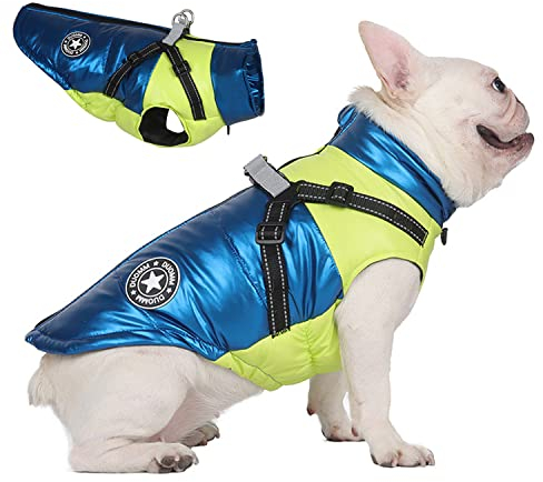 BT Bear Kleine Hunde Warmer Mantel Welpe Wasserdichte Winterjacke Haustier Warme Winter Hundejacke Weste mit Hundegeschirr für Kleine Mittlere Hunde (Blau, XXL)