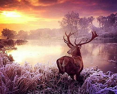MT Majami Diamond Painting DIY 5D Diamantmalerei Hirsch am See 30x40 cm Gemälde Wanddekoration Freizeitspaß Erwachsene Jugendliche wild Diamant