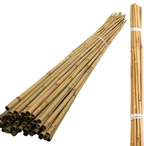5FT 6FT 7FT Bamboo Garden Canes Heavy Duty for Plant Flower Vegetable Support Strong Professional Garden Stakes Thick Cane Sticks (10, 6FT)