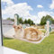 MEWOOFUN Cat Window Bed Hammock for Cats - Foldable Cat Window Perch w/Reversible Mat, Upgrade Strong Suction Cups Sturdy Holds Up to 18kg, Beige
