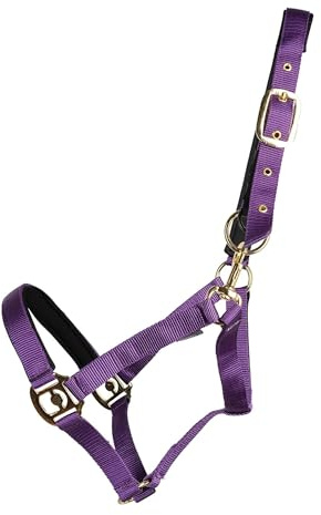 Hy Fieldsafe Horse Headcollar