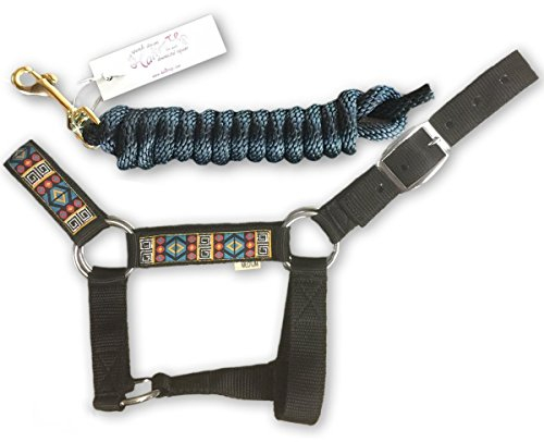 HalterUp Halfter für Miniaturpferde und Führstränge (2 Stück), erhältlich in 10 Farben (schwarz, groß)