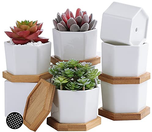 Fippy - Vaso per piante in ceramica, con forma esagonale, 6 vasi da fiori bianchi con vassoio in bambù, mini cactus, decorazione per casa, ufficio, balcone, festa del ringraziamento, regalo di Natale