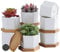 Fippy 7cm Klein Keramik Blumentopf Weiß Sukkulenten Topf Mini Blumentopf mit Untersetzer, Perfect für Home Office Balkon Dekor, 6er Set