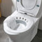 StyleBest Sitz Bath Over The Toilet, Foldable Hip Perineal Soaking Bath Tub Avoid Squatting Personal Washing Bidet Bowl for Hemorrhoidal Relief, Pregnant Women, Post-Episiotomy Recovery(Grey)