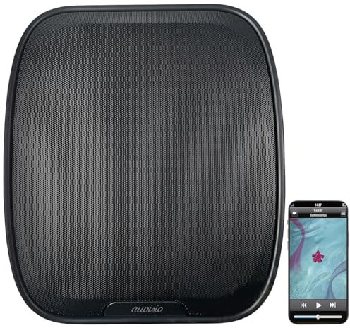 auvisio Bluetoothlautsprecher: Aktiver Stereo-Wandlautsprecher mit Akku, FM-Radio, BT 5.3, schwarz (Boxen Lautsprecher, Bluetooth, Lautsprecher mit USB, Bluetooth)